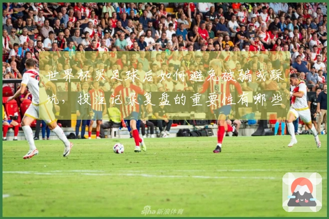 世界杯买足球后如何避免被骗或踩坑，投注记录复盘的重要性有哪些