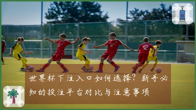世界杯下注入口如何选择？新手必知的投注平台对比与注意事项