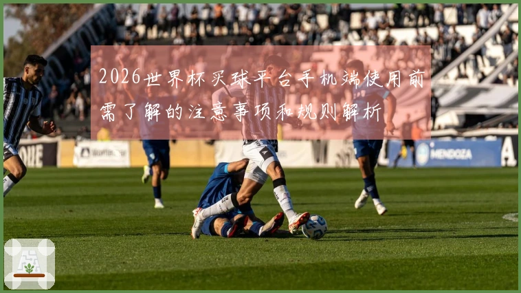 2026世界杯买球平台手机端使用前需了解的注意事项和规则解析