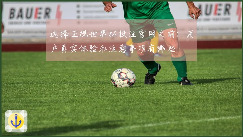 选择正规世界杯投注官网之前：用户真实体验和注意事项有哪些