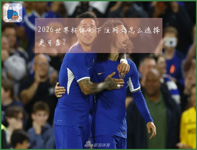 2026世界杯体彩下注网站怎么选择更可靠？